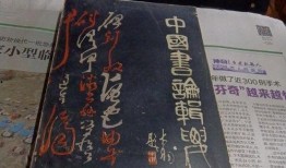 大连探店爆料视频大全集,视频大全集带你领略美食风情